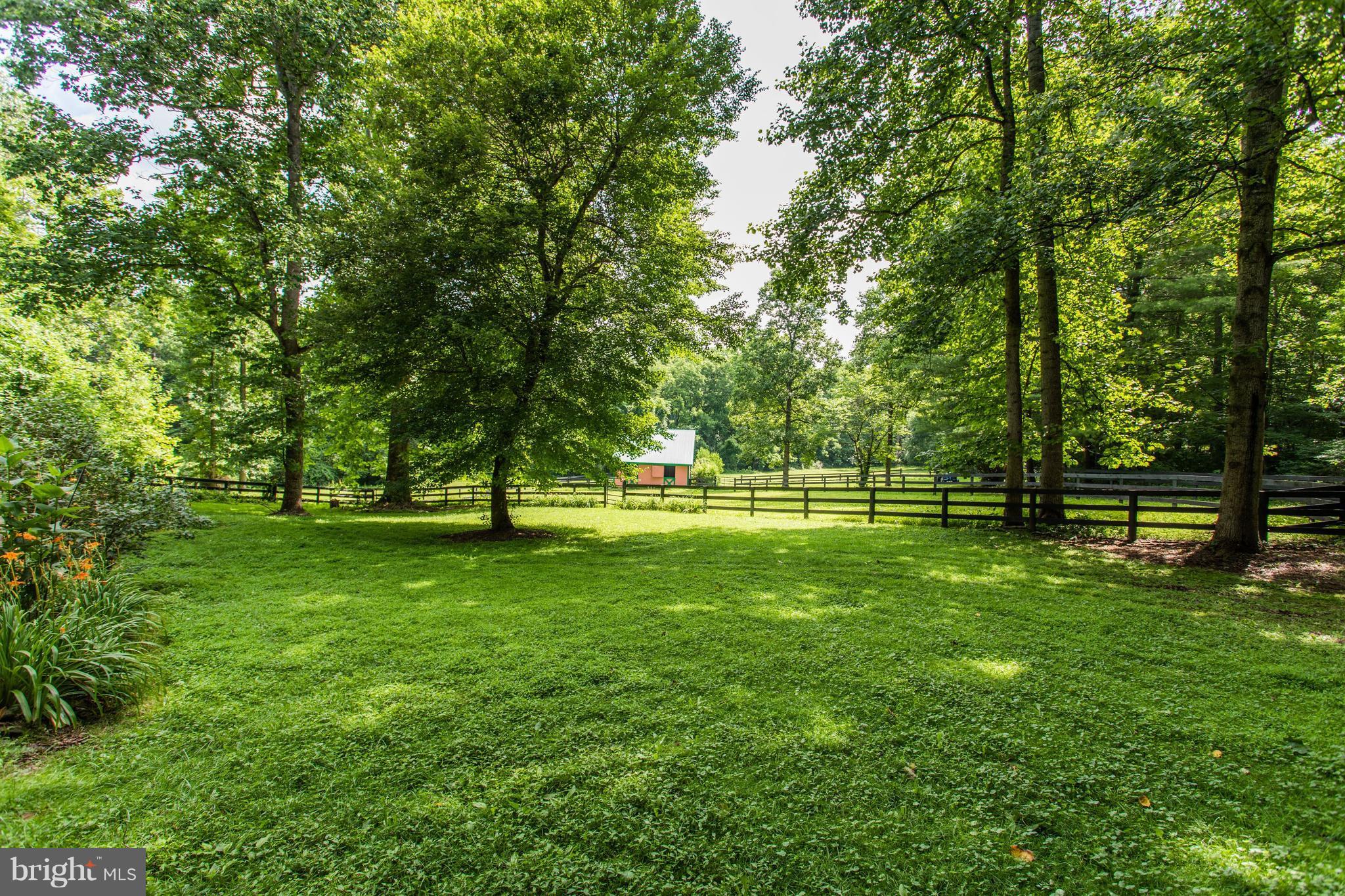 7137 Wilson Road Marshall, VA 20115 - Photo 3 of 24 a view of field with trees