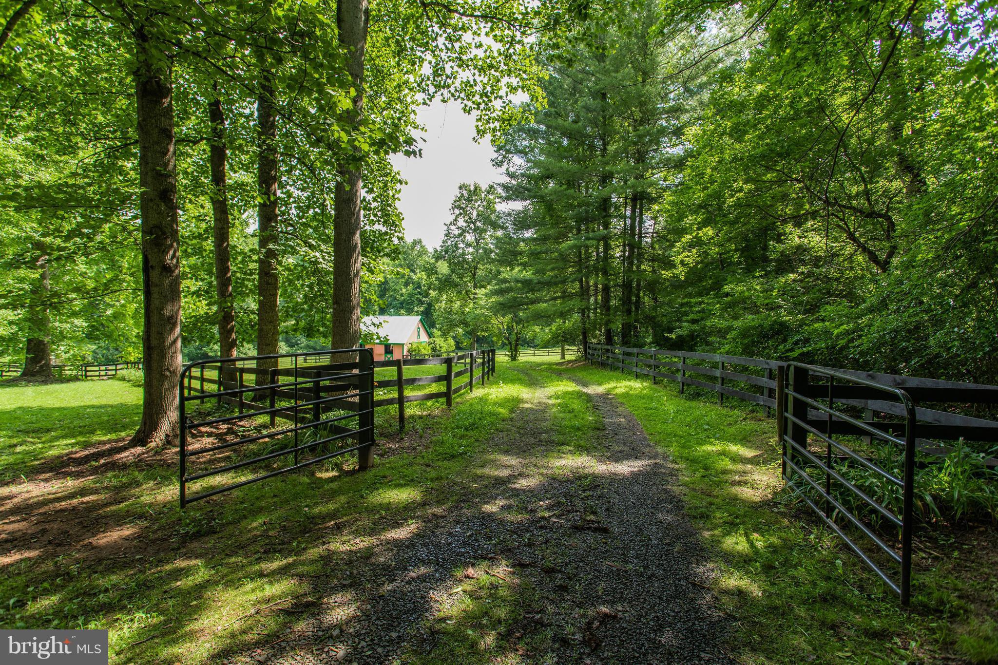7137 Wilson Road Marshall, VA 20115 - Photo 22 of 24 a view of park with a bench