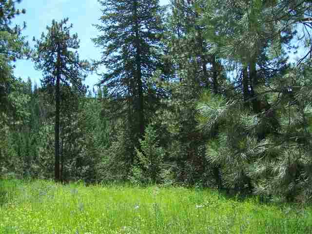 762 Mahoney Road, Unit 1 Colville, WA 99114 - Photo 8 of 9