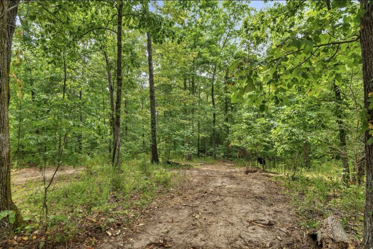 10498 Missionary Ridge Road Bon Aqua, TN 37025 - Photo 34 of 41 Gallery Image 34