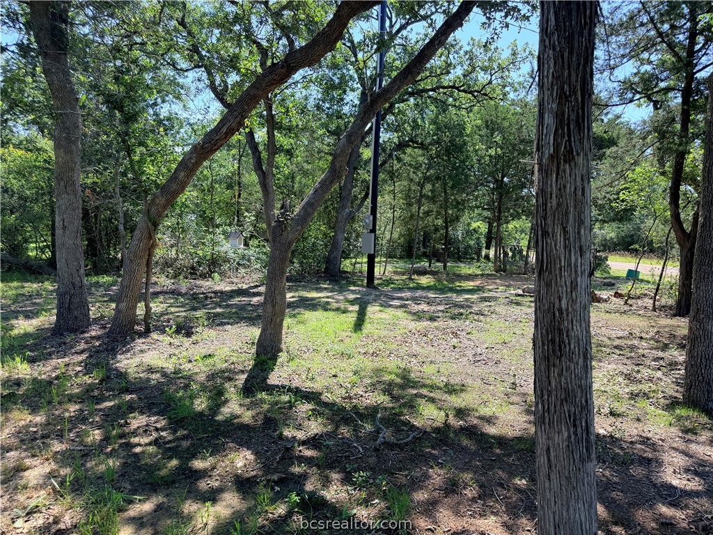 281 Redberry Road Somerville, TX 77879 - Photo 5 of 15