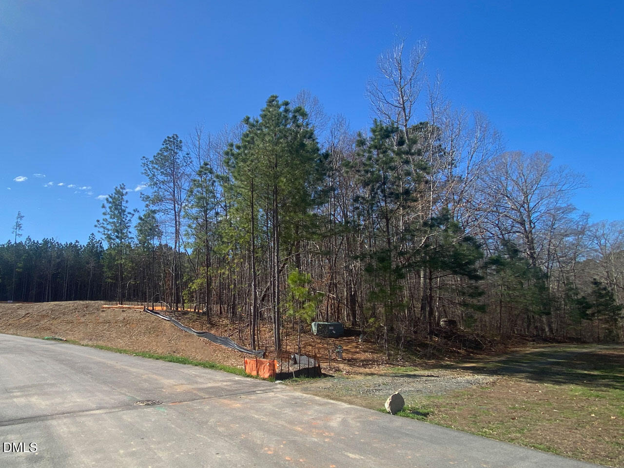 101 Richmond Run Stem, NC 27581 - Photo 1 of 4 a view of a backyard