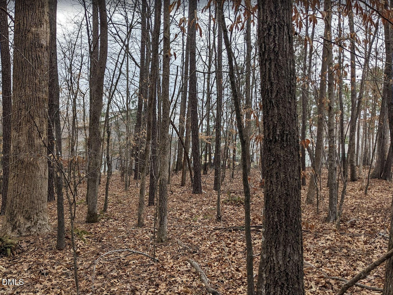 101 Richmond Run Stem, NC 27581 - Photo 4 of 4 a view of outdoor space with lots of trees