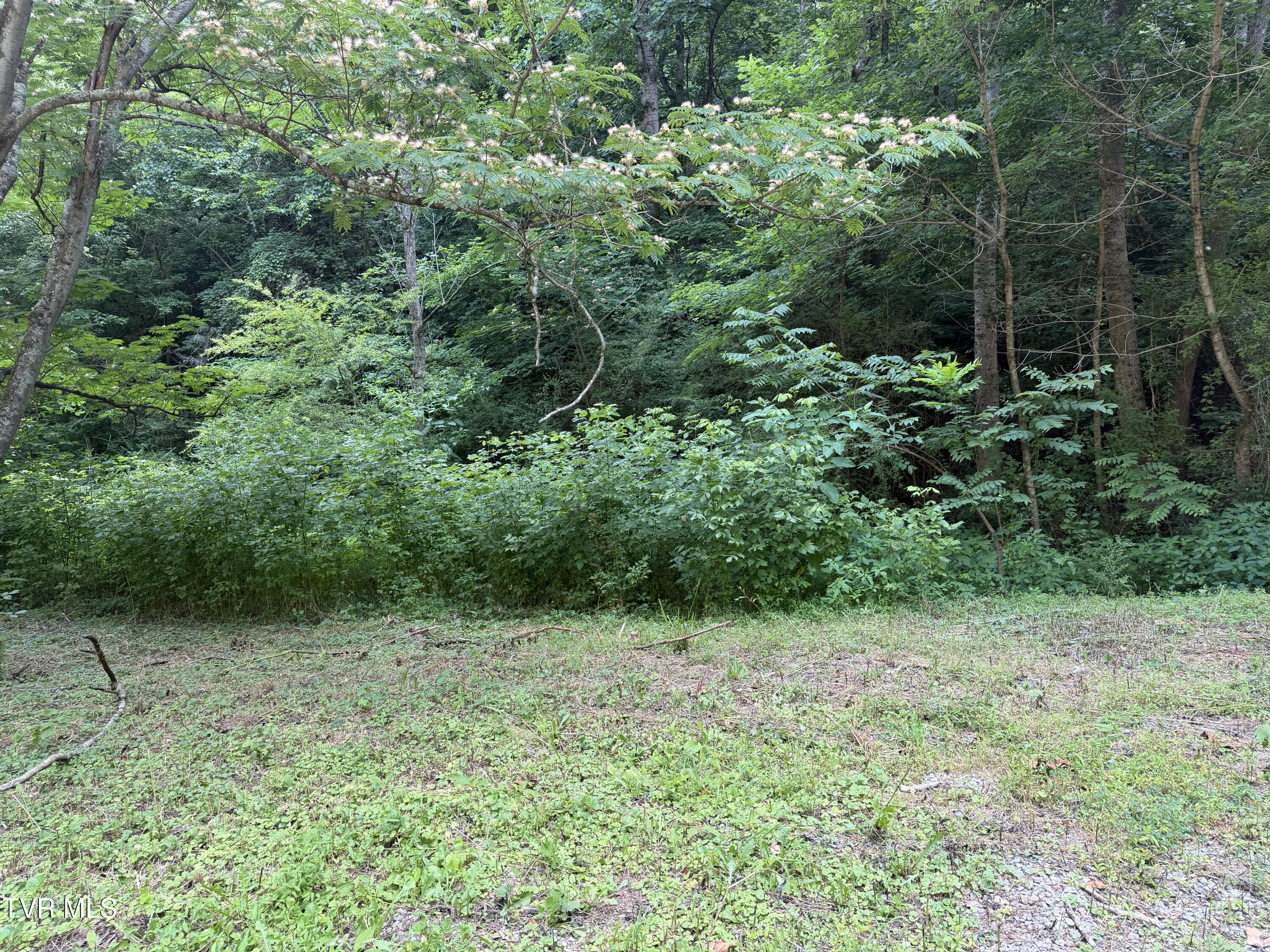 701 Old Witt Road, Unit 1 Morristown, TN 37813 - Photo 21 of 21 t2