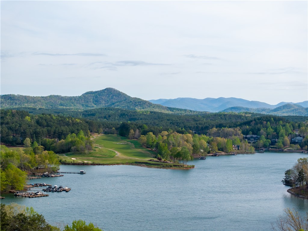 390 Peninsula Ridge Sunset, SC 29685 - Photo 25 of 35 Views of the Great Lawn and mountains in the distance