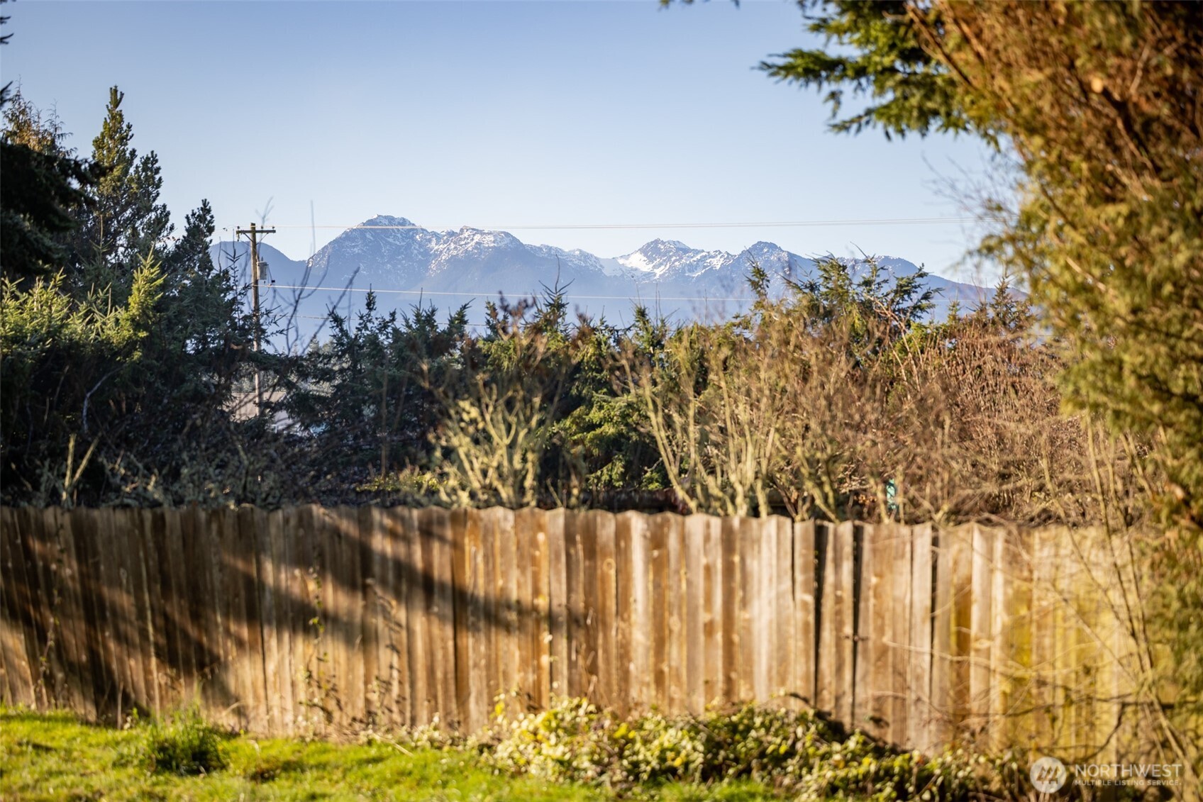 2042 Finn Hall Road Port Angeles, WA 98362 - Photo 33 of 40 a view of a covered with trees in front of it