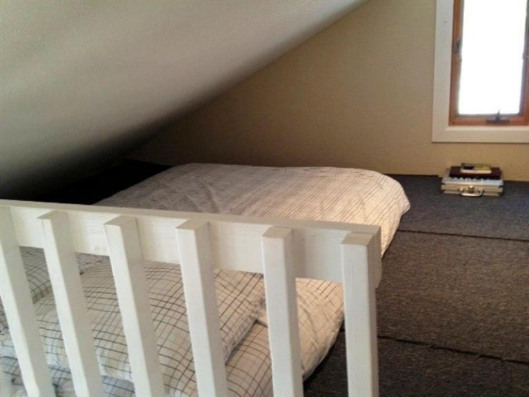 4627 White Road Pierson, MI 49339 - Photo 16 of 24 Additional Photo