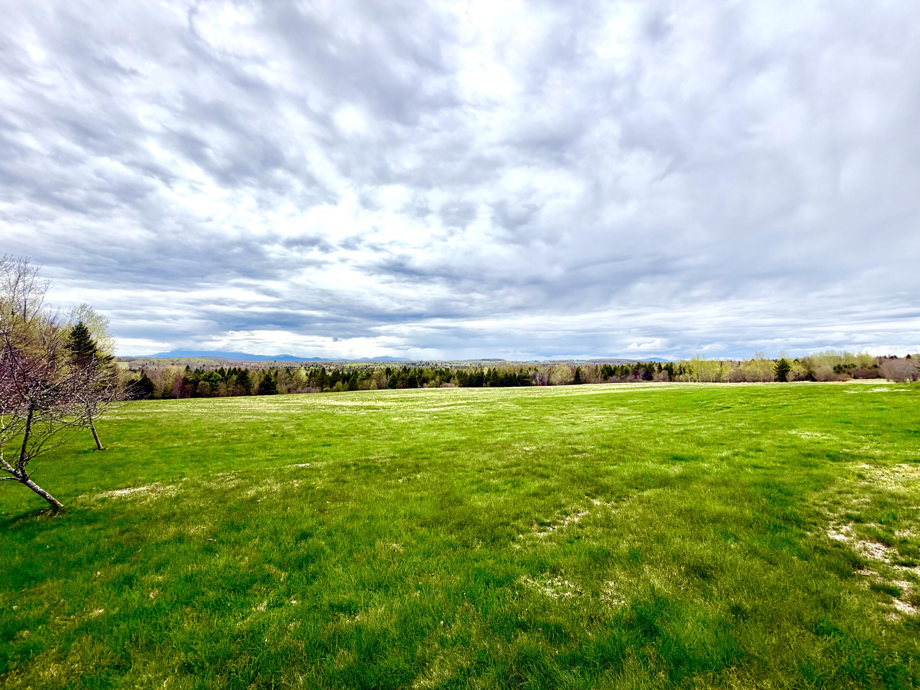 521 Gallison Road Sherman, ME 04776 - Photo 26 of 96 Gorgeous Pasture Land