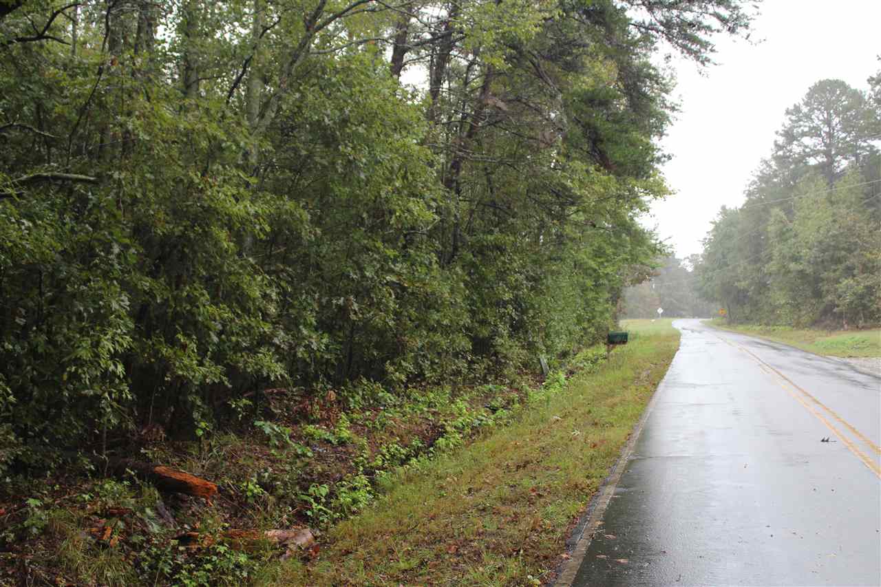 0 Lee Cudd Road Rutherfordton, NC 28139 - Photo 4 of 8