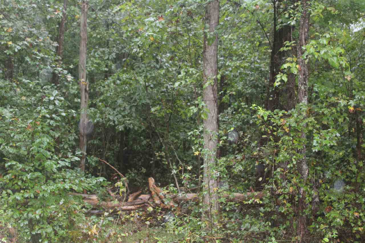 0 Lee Cudd Road Rutherfordton, NC 28139 - Photo 7 of 8