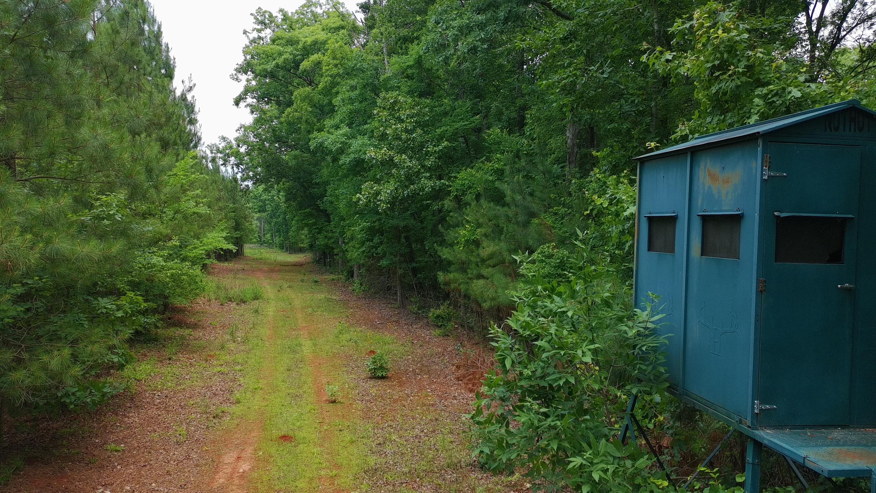 Tbd Pineywood Road, Unit TBD Saluda, SC 29138 - Photo 14 of 17