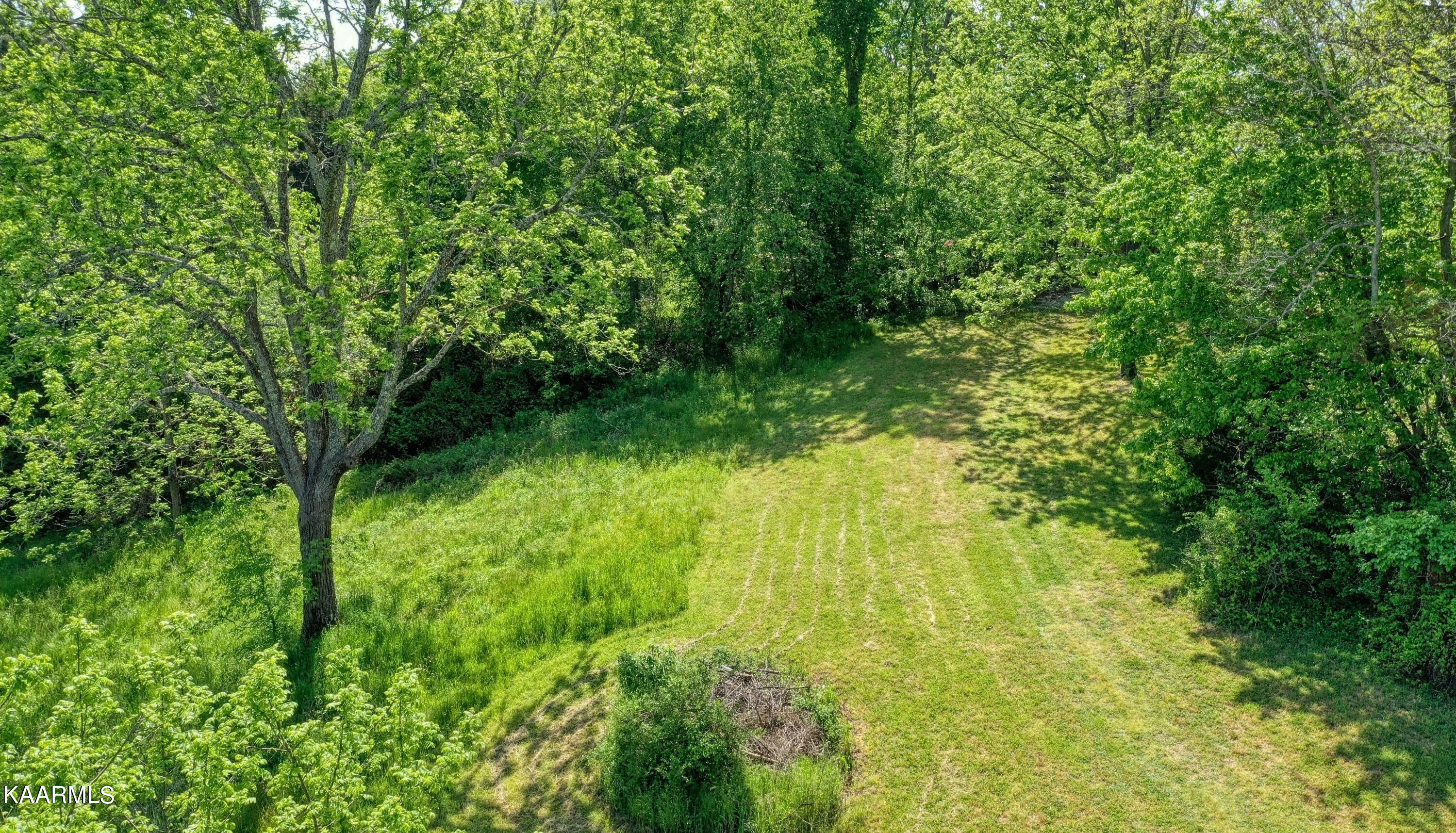 1064 Davis Chapel Road La Follette, TN 37766 - Photo 45 of 53 1064 Davis Chapel Rd 22