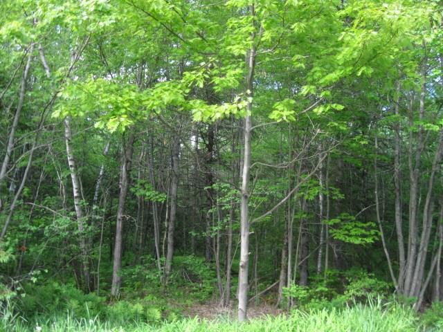 Lot 40-1 Lot Road Plymouth, ME 04969 - Photo 3 of 4 Photo