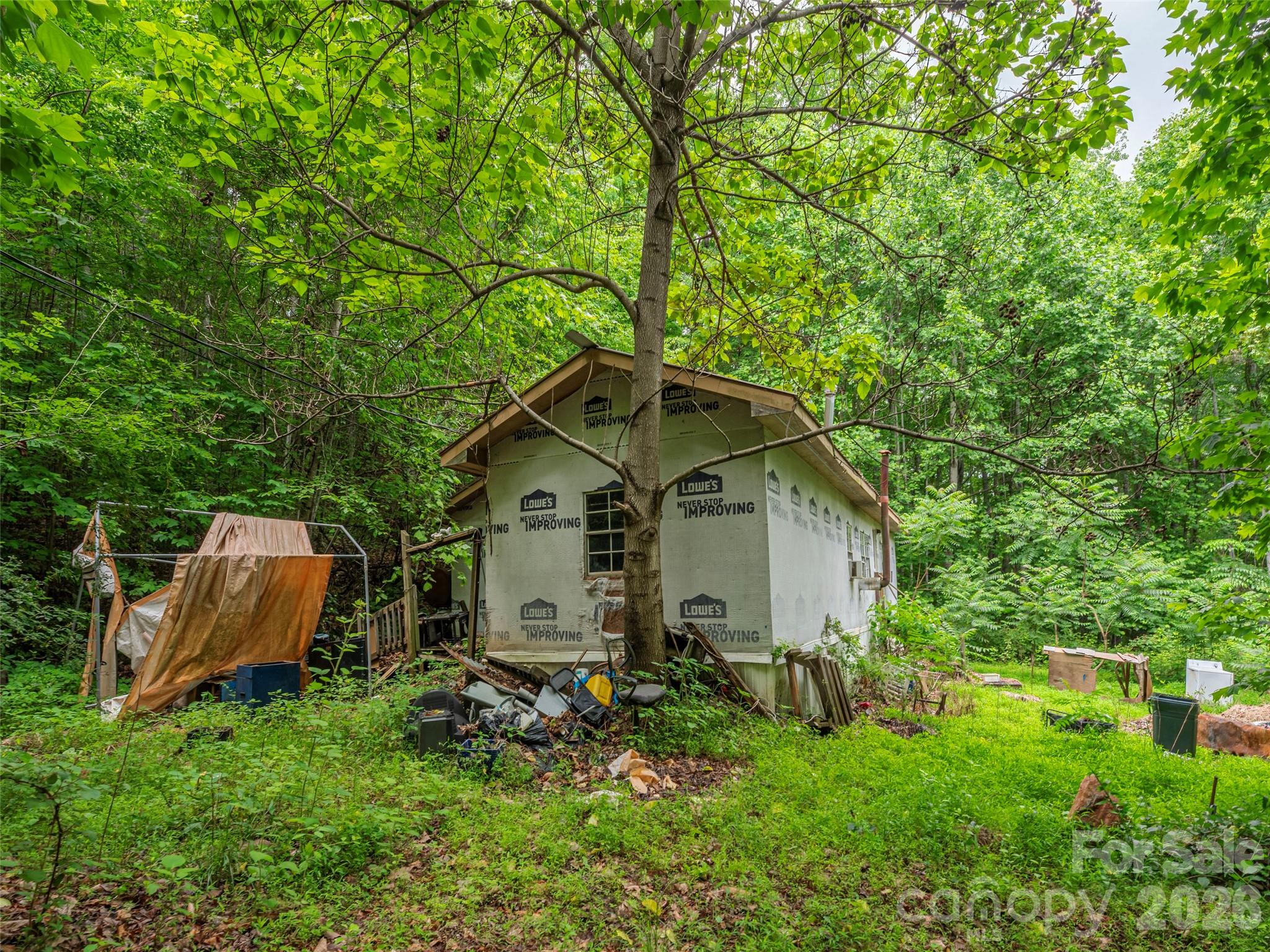 68 Long Ridge Road Candler, NC 28715 - Photo 5 of 13