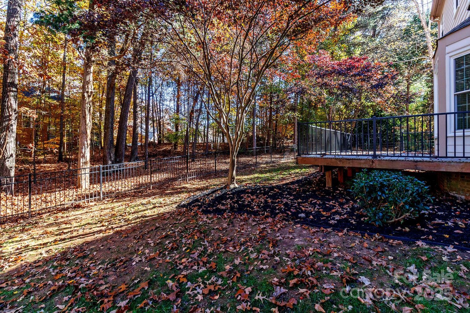 11025 Jordan Rae Lane Charlotte, NC 28277 - Photo 29 of 33 a backyard of a house with lots of green space and trees