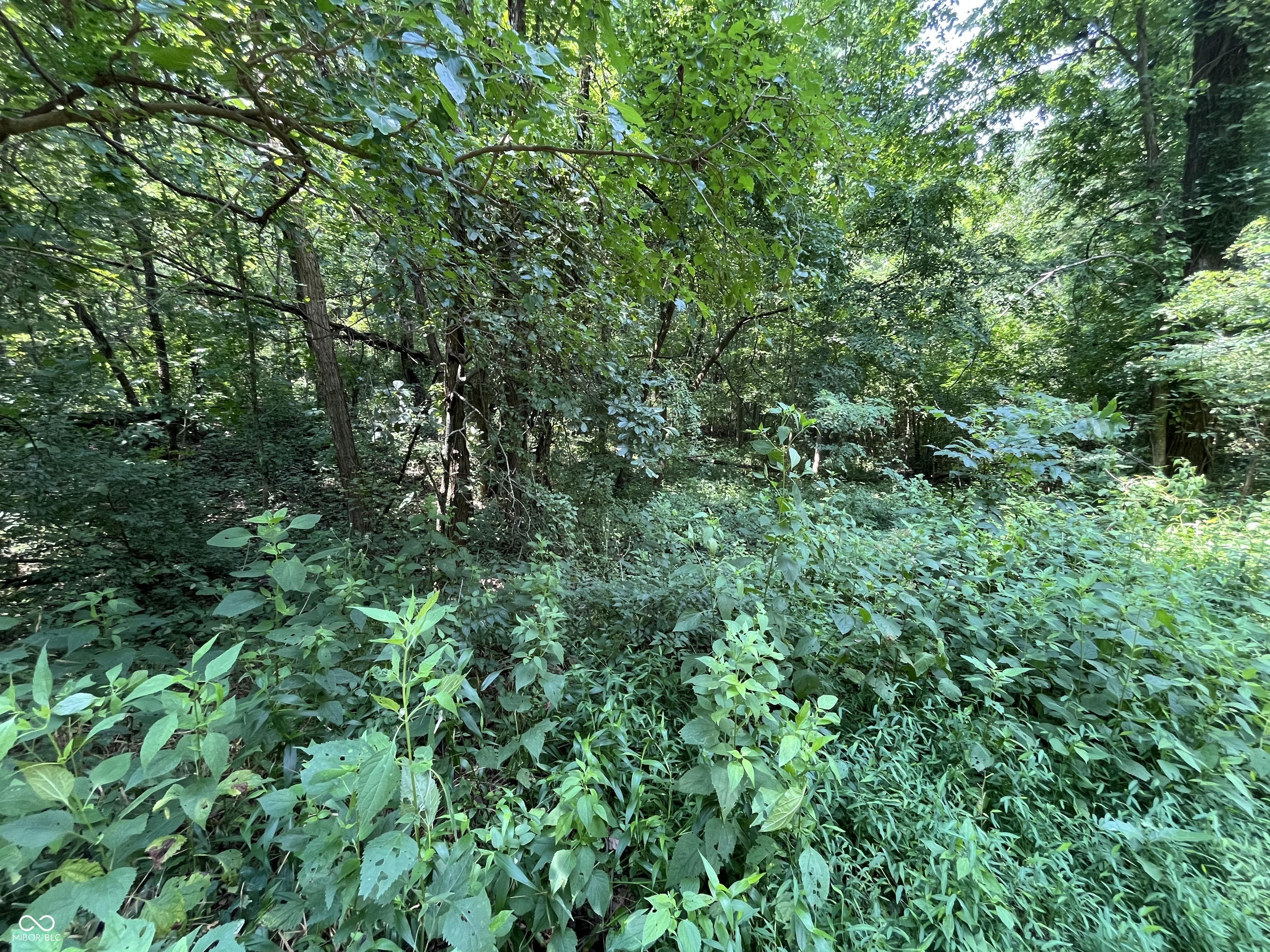 0 Canyon Lake Road Worthington, IN 47471 - Photo 2 of 5