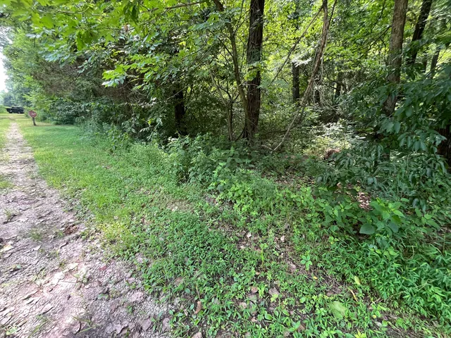 $53,000 | 0 Canyon Lake Road, Worthington, IN 47471