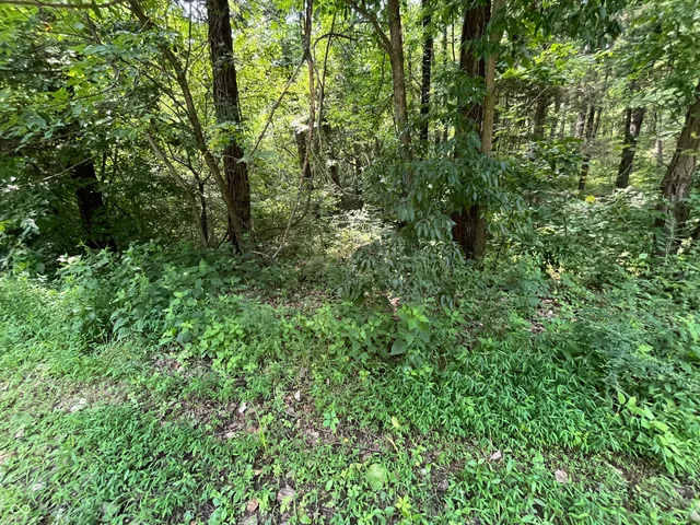 $53,000 | 0 Canyon Lake Road, Worthington, IN 47471