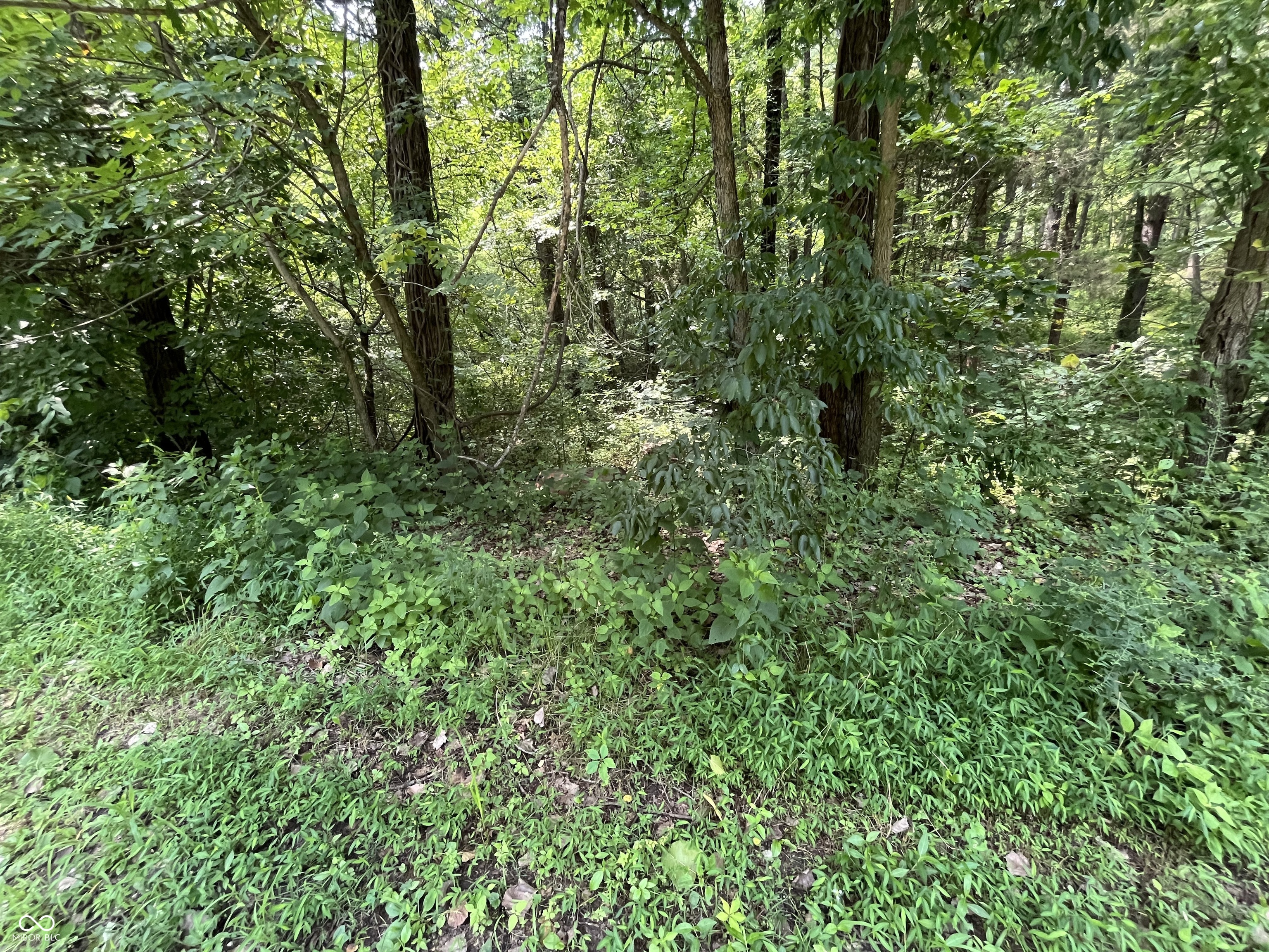 0 Canyon Lake Road Worthington, IN 47471 - Photo 4 of 5