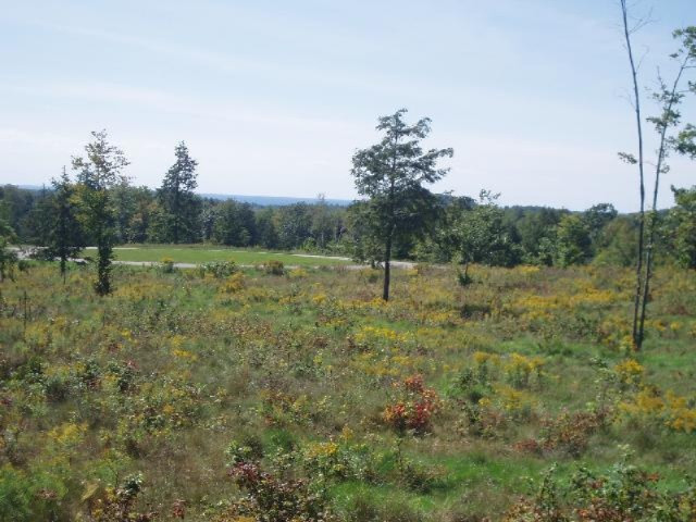 Celestial Ridge Onekama, MI 49675 - Photo 12 of 18 Additional Photo