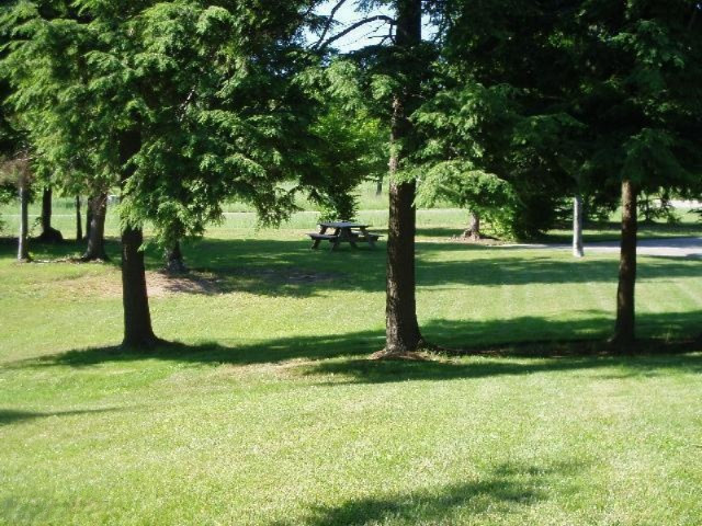 Celestial Ridge Onekama, MI 49675 - Photo 18 of 18 Portage Ridge Picnic Area