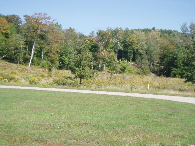 Celestial Ridge Onekama, MI 49675 - Photo 2 of 18 Additional Photo