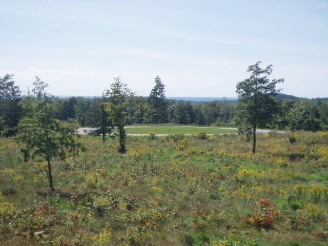 Celestial Ridge Onekama, MI 49675 - Photo 3 of 18 Additional Photo