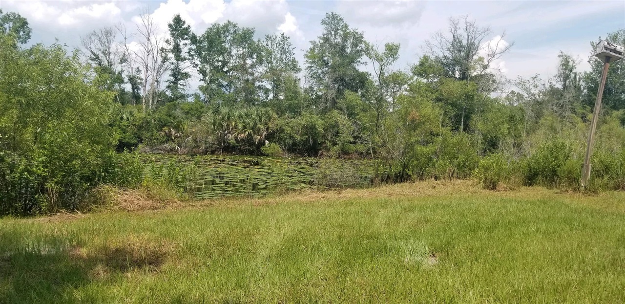 1346 Harold Davis Road Perry, FL 32348 - Photo 2 of 4