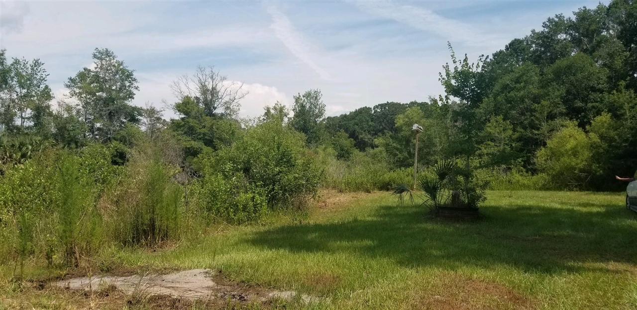 1346 Harold Davis Road Perry, FL 32348 - Photo 3 of 4