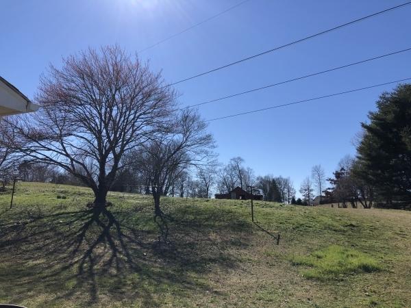 4411 Lee Road Northwest Knoxville, TN 37921 - Photo 2 of 10 02-604669d2a72fa