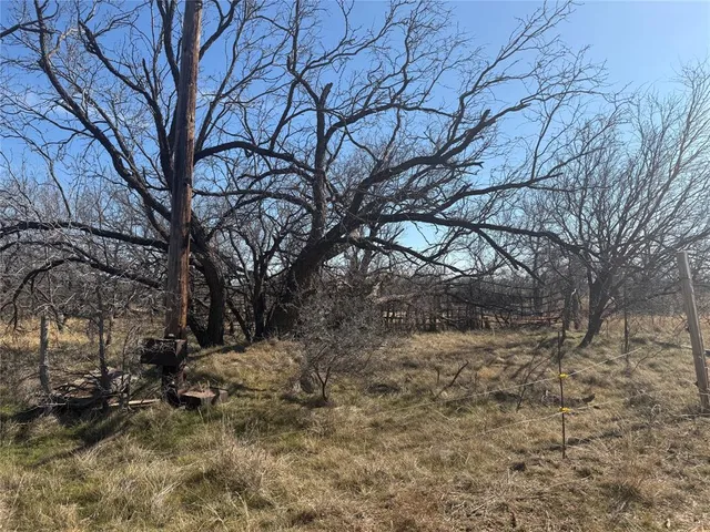a view of a yard with trees