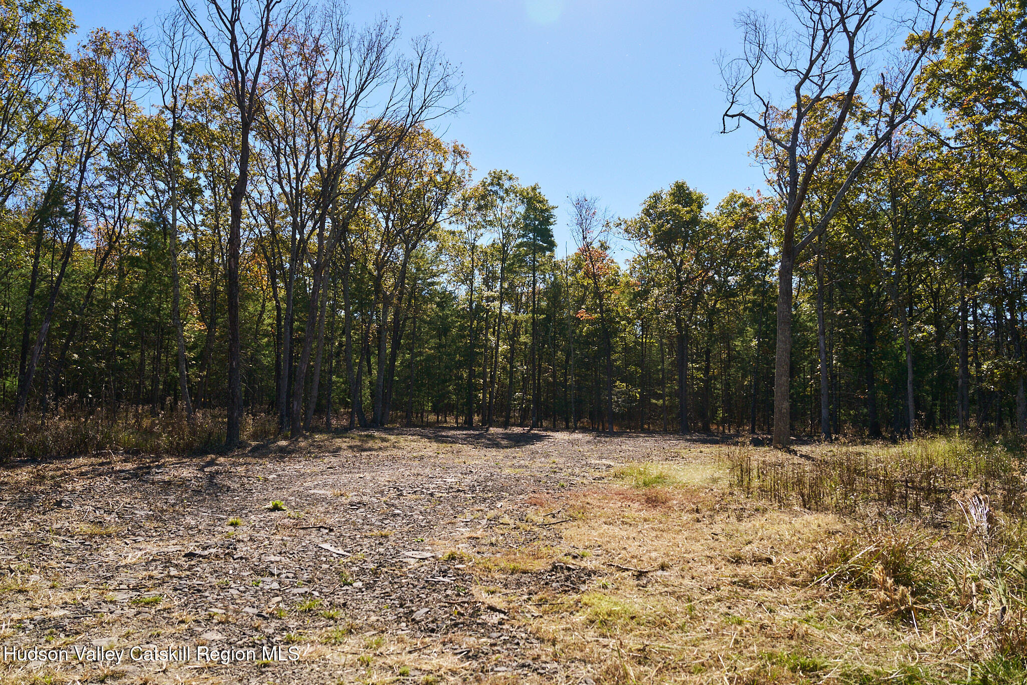 Tbd Tbd Reilly Road Kingston, NY 12401 - Photo 1 of 12 _DSC7784