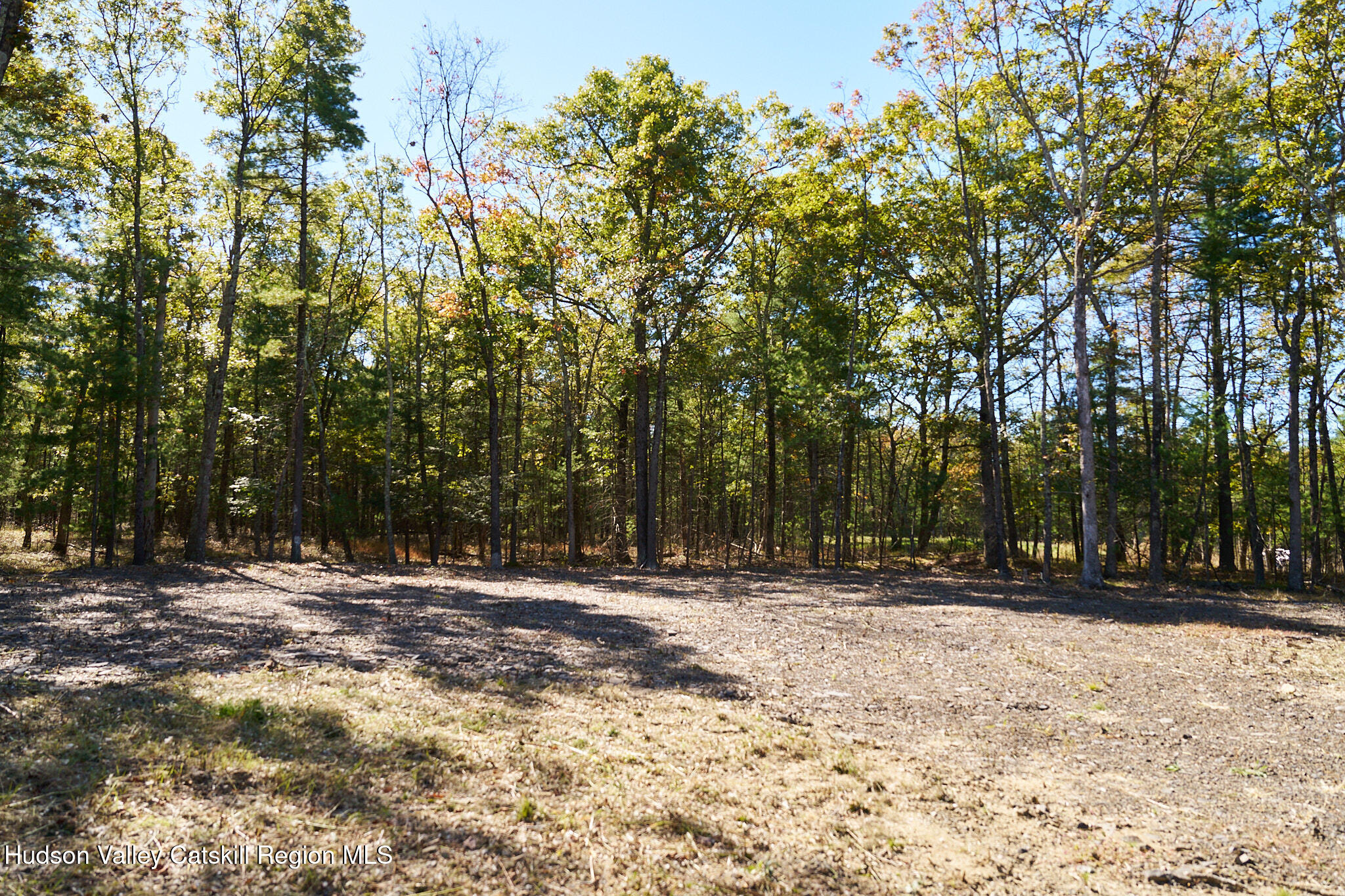Tbd Tbd Reilly Road Kingston, NY 12401 - Photo 2 of 12 _DSC7790