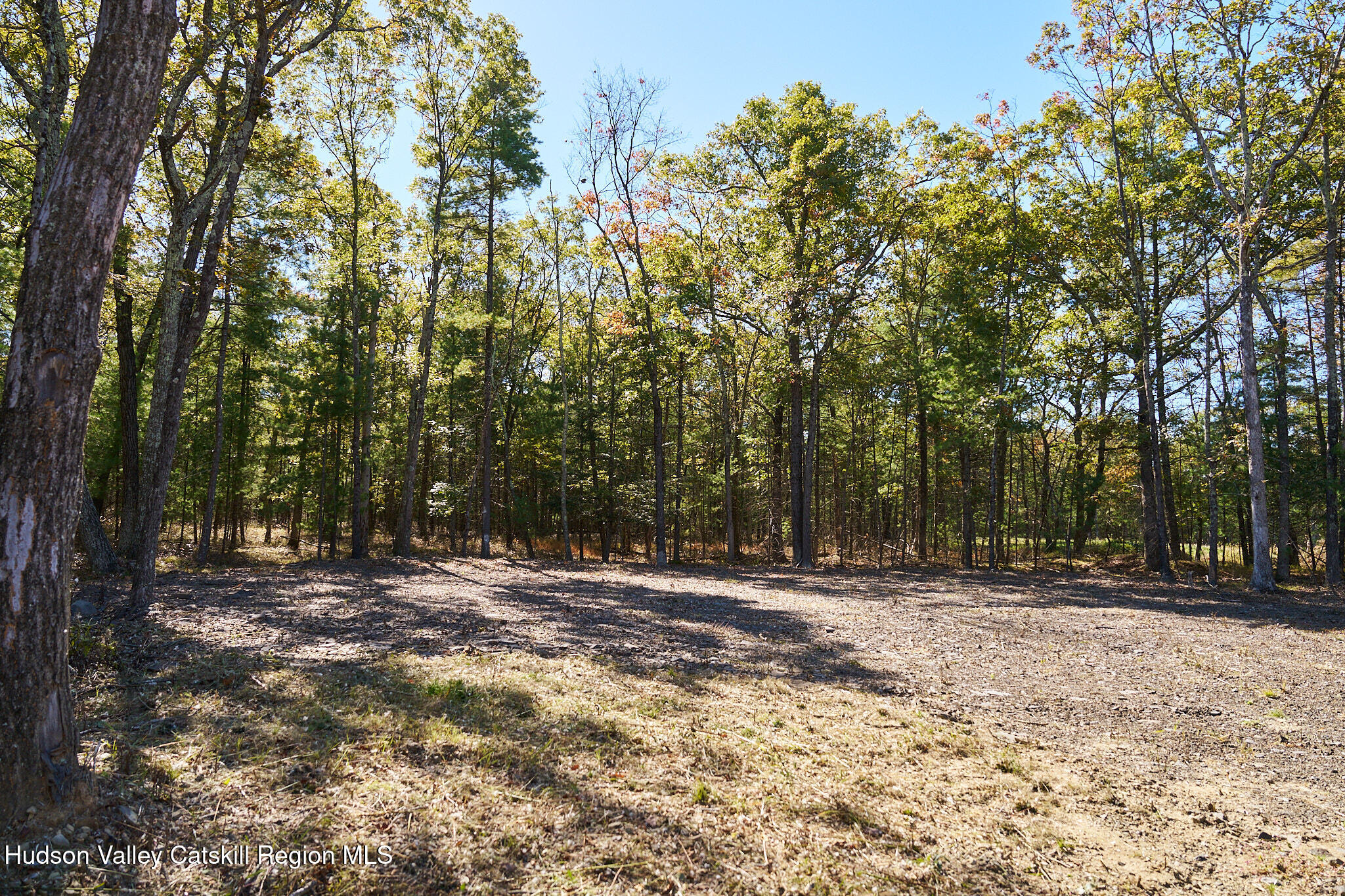 Tbd Tbd Reilly Road Kingston, NY 12401 - Photo 4 of 12 _DSC7794