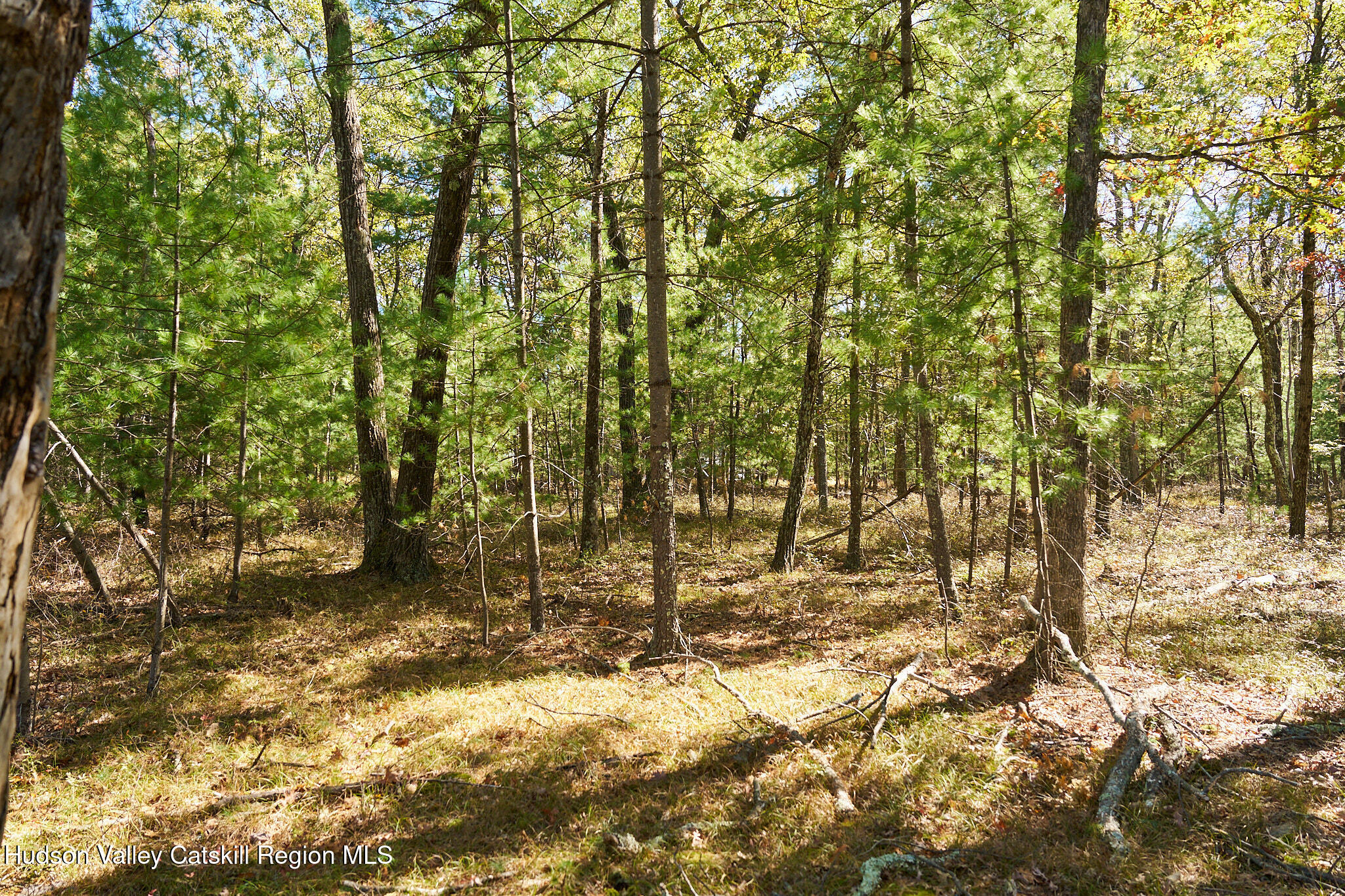 Tbd Tbd Reilly Road Kingston, NY 12401 - Photo 5 of 12 _DSC7800