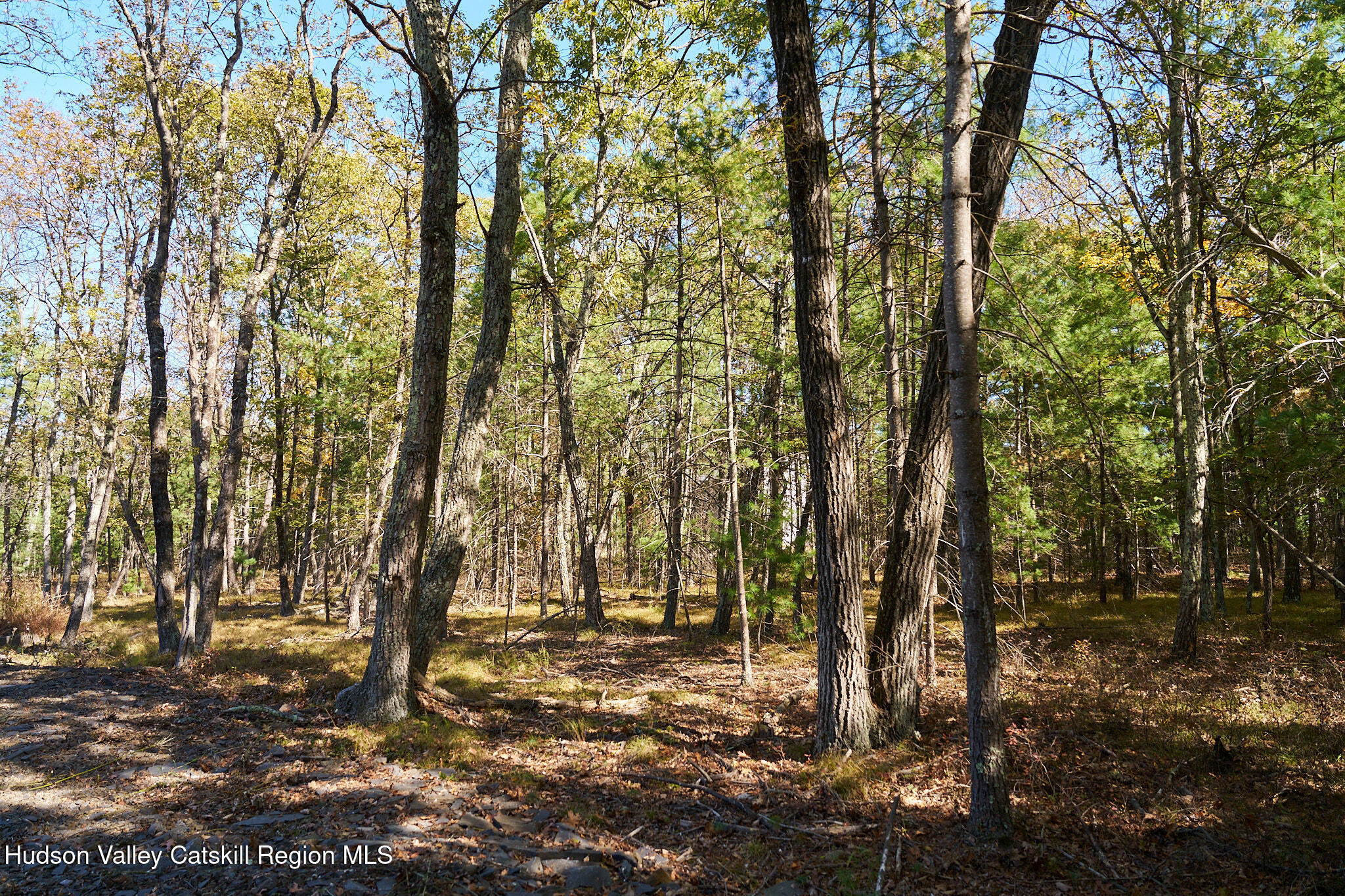 Tbd Tbd Reilly Road Kingston, NY 12401 - Photo 7 of 12 _DSC7808