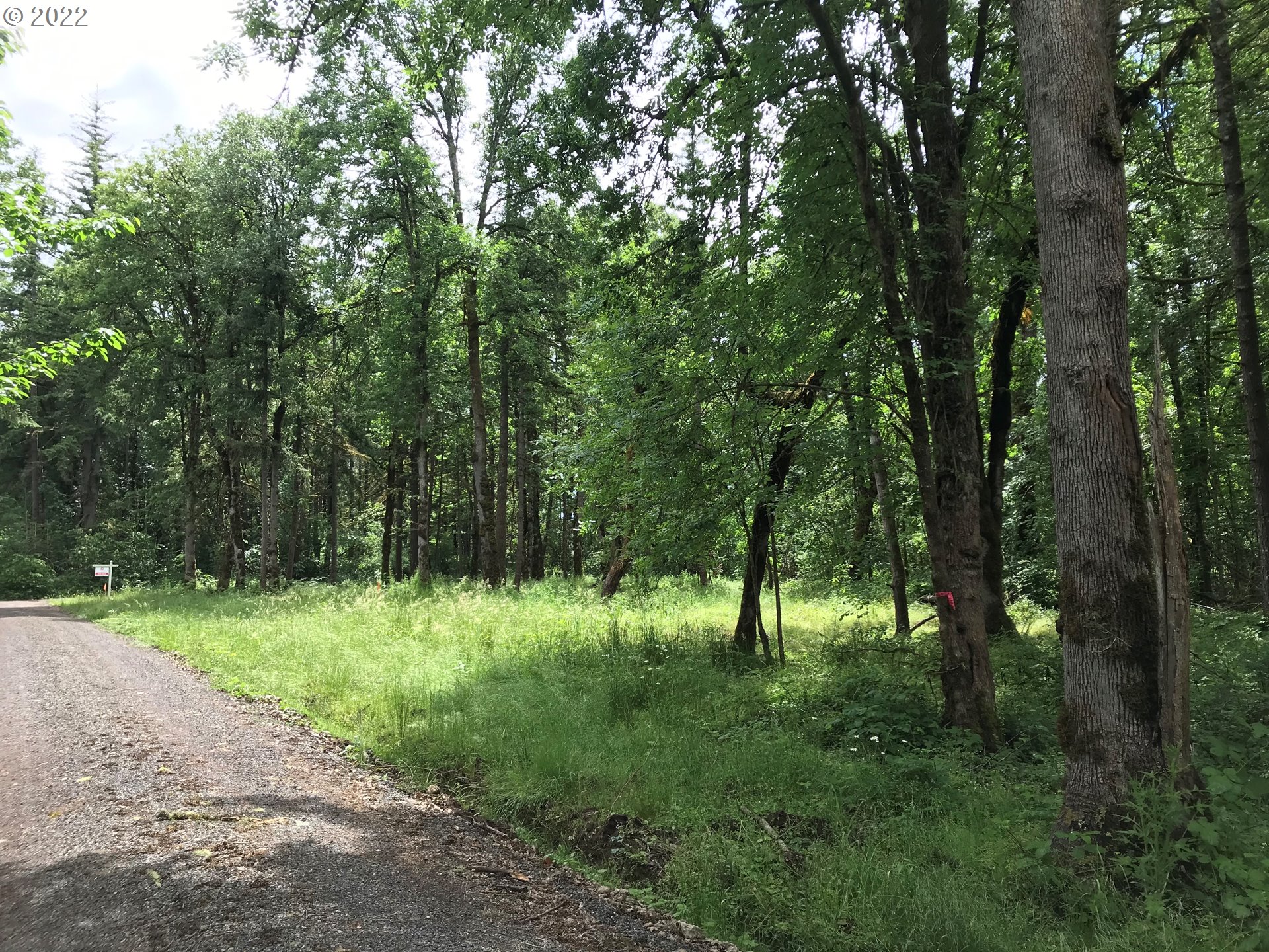 29600 Northwest 51st Avenue Ridgefield, WA 98642 - Photo 1 of 4 a view of a green forest
