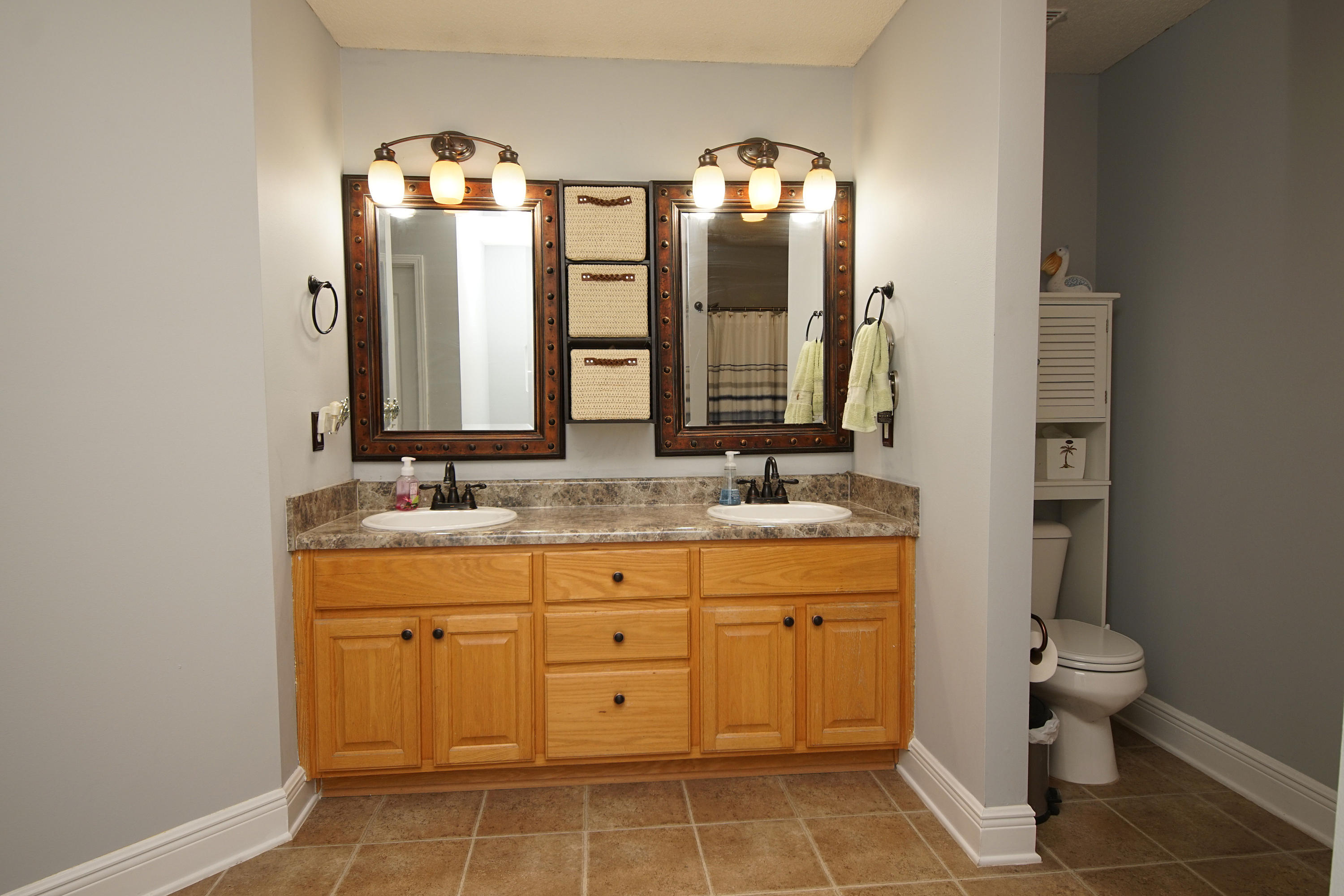 532 Vulpes Sanctuary Loop Crestview, FL 32536 - Photo 11 of 31 Master bath