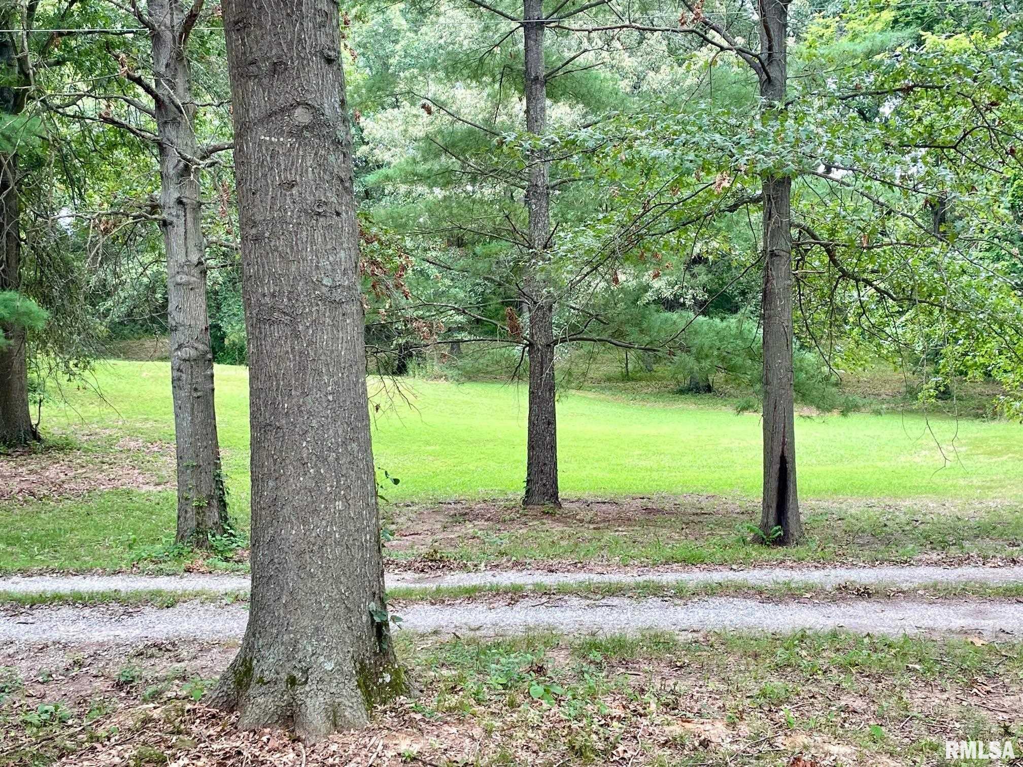 730 Golf Course Road Eldorado, IL 62930 - Photo 12 of 39 Gallery Image 12