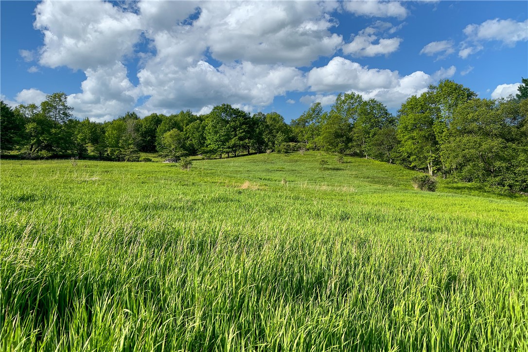 26 Federal Hill Road Delhi, NY 13753 - Photo 13 of 50