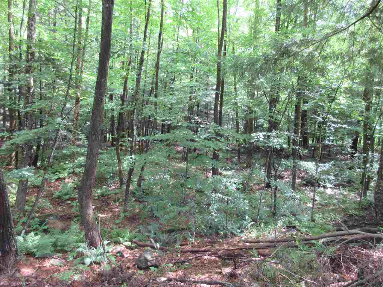 836 Stage Road Plainfield, NH 03781 - Photo 6 of 7