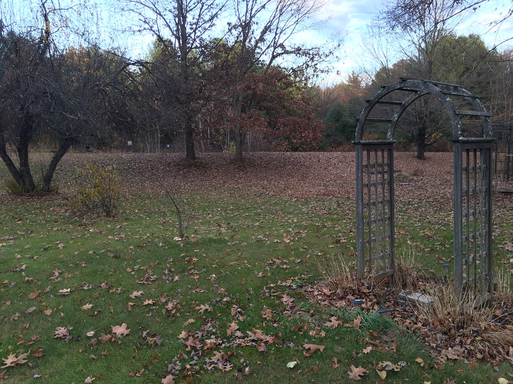 185 Shirley Road Lancaster, MA 01523 - Photo 5 of 15 a view of outdoor space and garden
