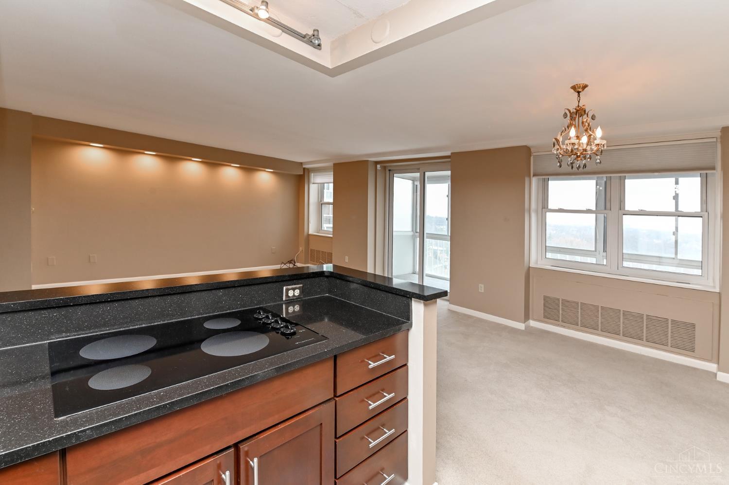 2444 Madison Road, Unit 1409 Cincinnati, OH 45208 - Photo 16 of 40