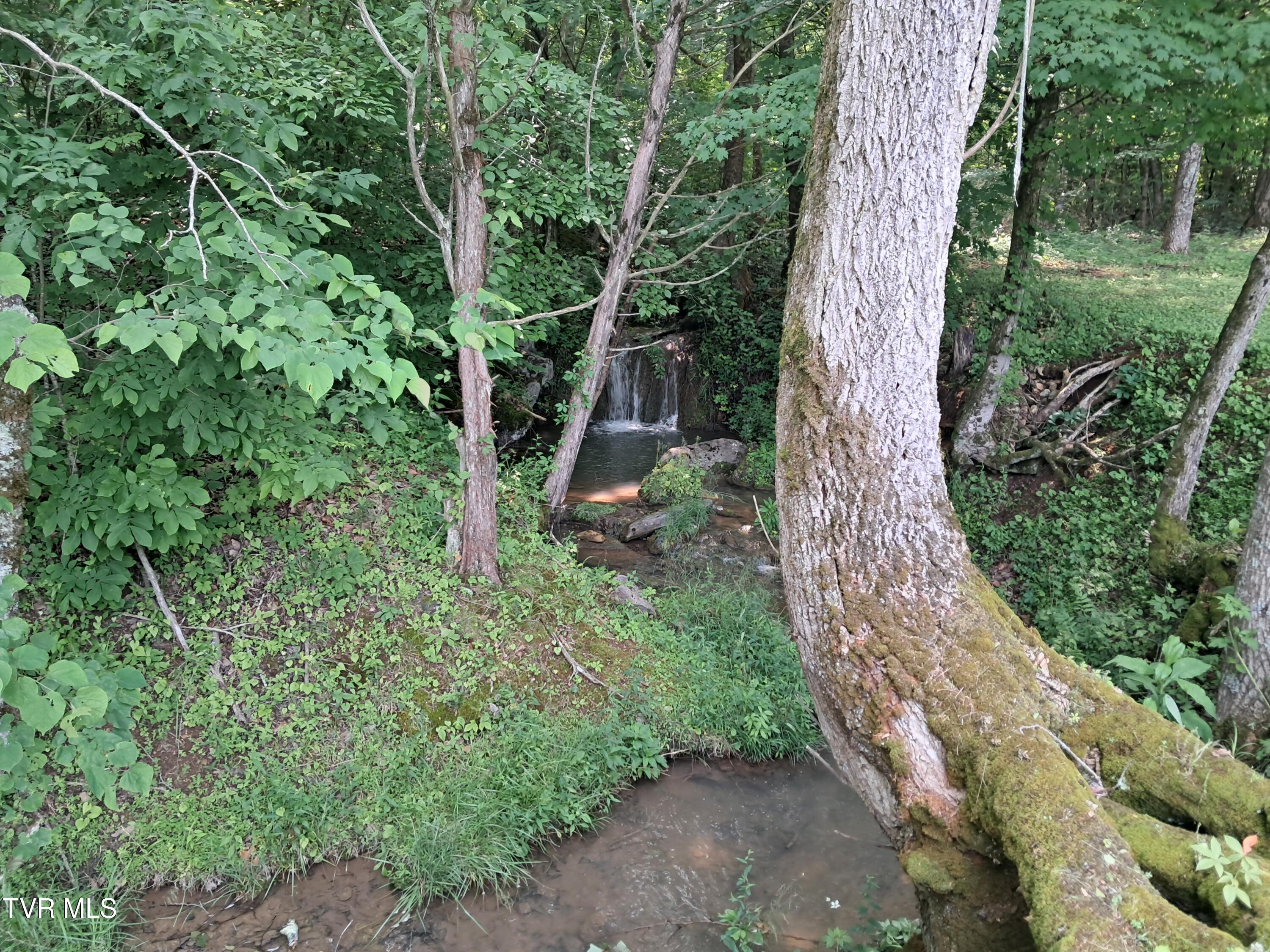 860 Bales Road Mosheim, TN 37818 - Photo 17 of 54 20250531_120725