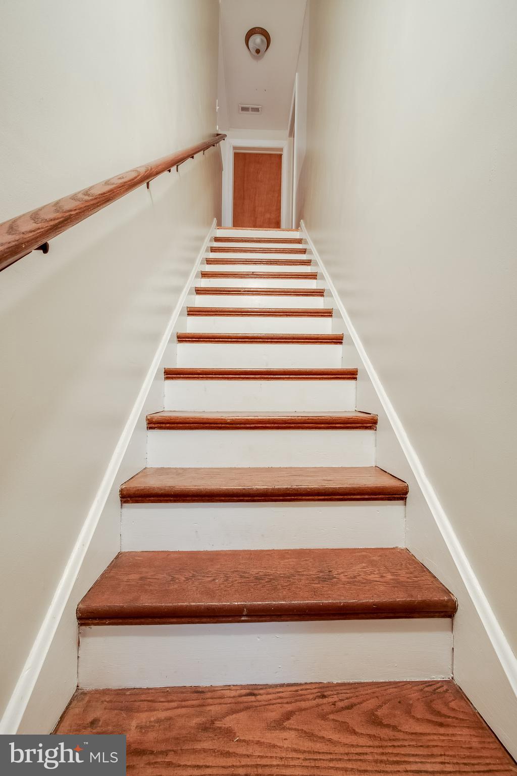210 Rice Street Berryville, VA 22611 - Photo 79 of 105 Gallery Image 79