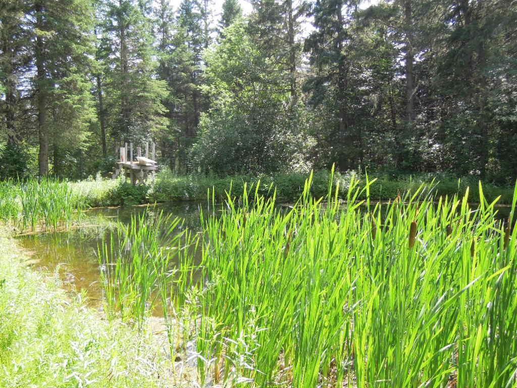 17 Thibodeau Road Woodland, ME 04736 - Photo 32 of 33 Photo