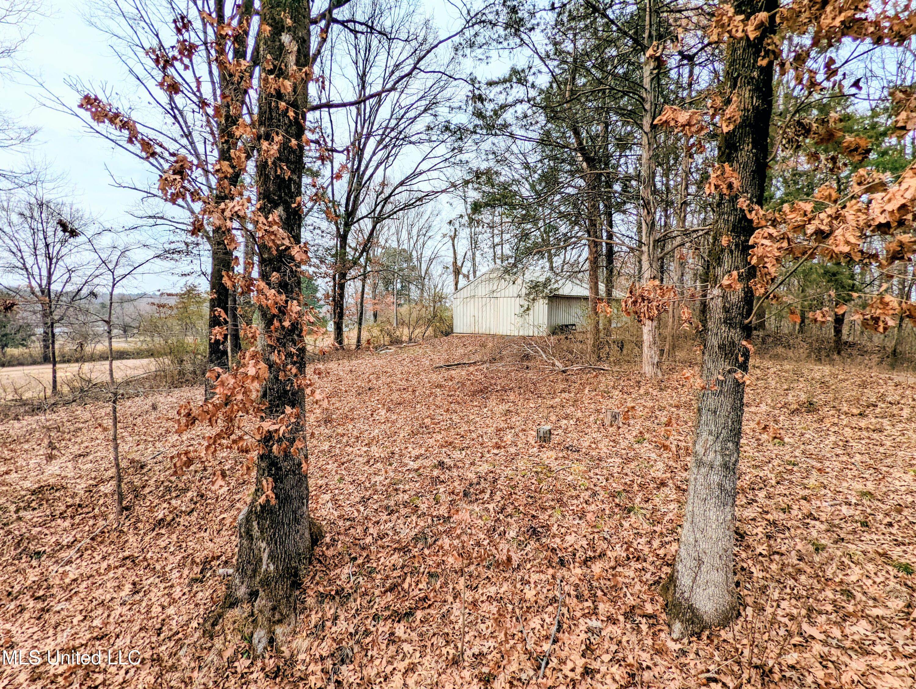 237 Highway 51 Hernando, MS 38632 - Photo 45 of 49 237 Hwy 51 S 9