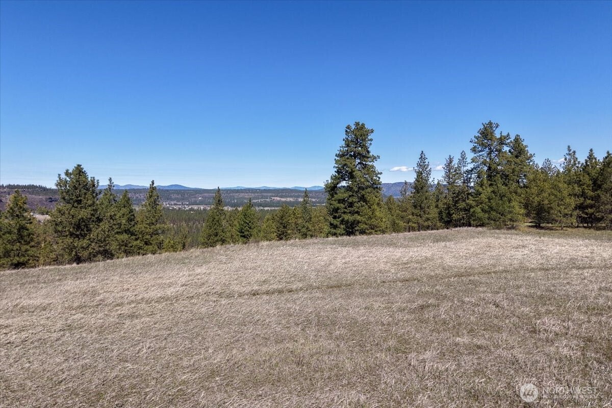 7410 South Hayford Road Spokane, WA 99224 - Photo 13 of 20 Gallery Image 13