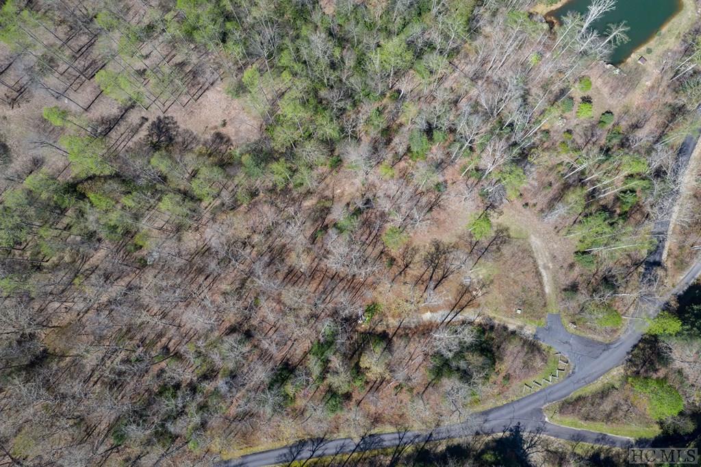 Lot 21 Pilot Knob Road Tuckasegee, NC 28783 - Photo 21 of 29 Gallery Image 21
