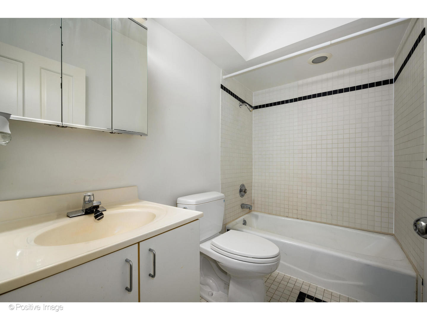 1434 North Dearborn Street Chicago, IL 60610 - Photo 59 of 67 a bathroom with a sink a toilet and shower